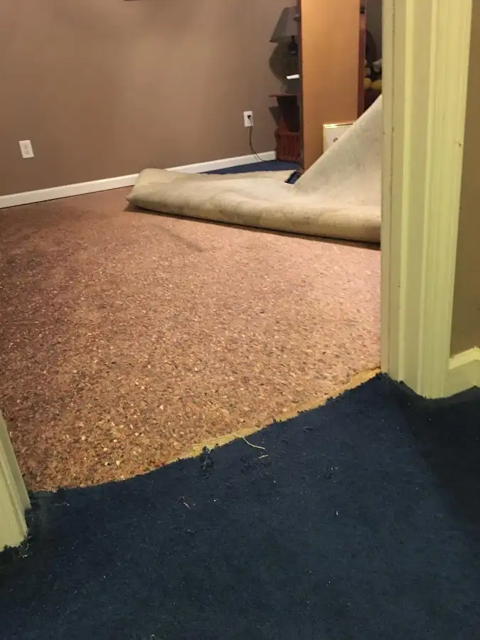 Carpet pad removal revealing water damage during Drying & Dehumidification in Merrimack